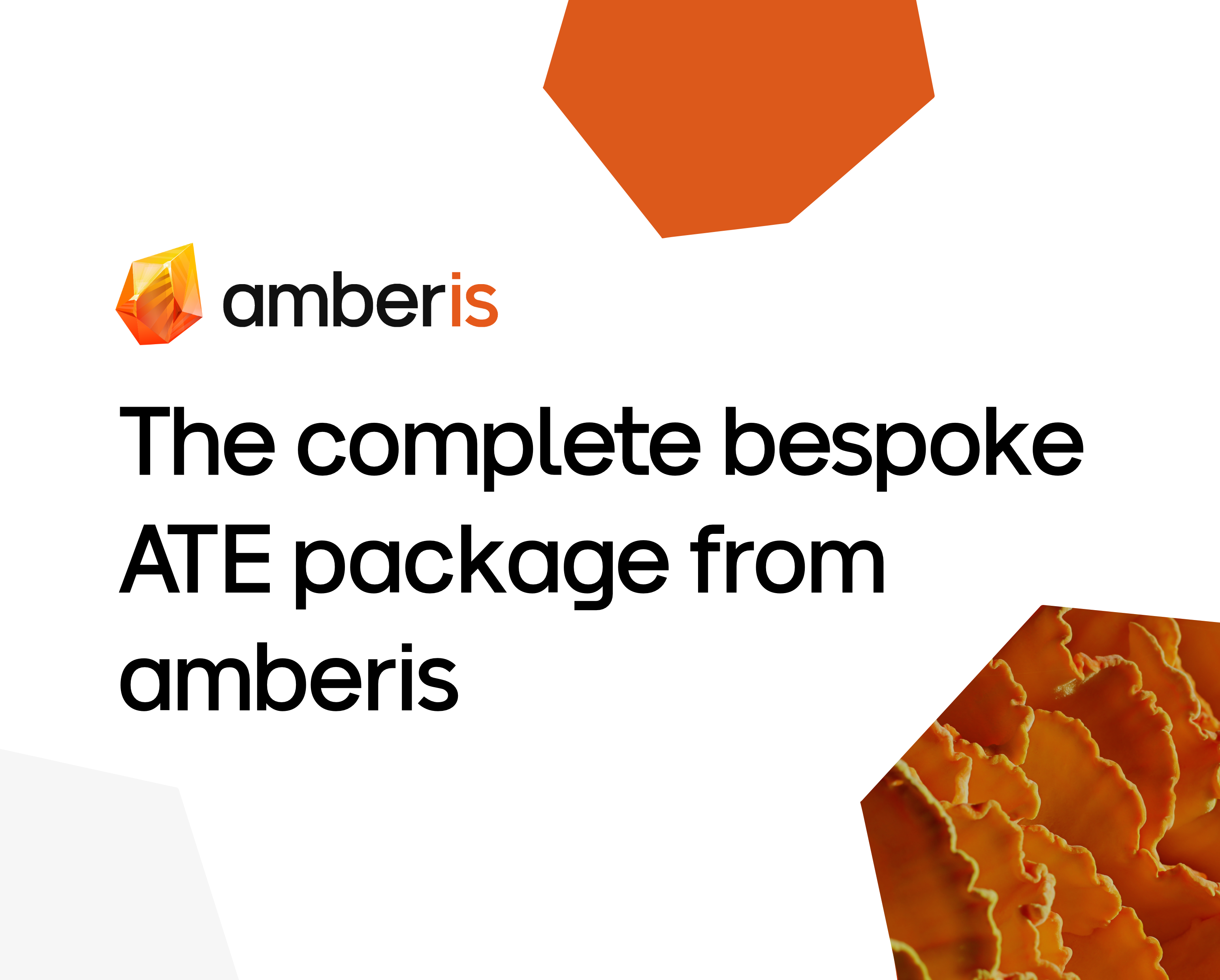 The complete bespoke ATE package from amberis - amberis
